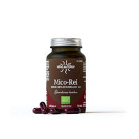 Produktbild von HIFAS DA TERRA Mico-Rei Reishi Pilz Kapseln mit hochdosiertem Reishi Extrakt 15:1 vegan 70 Kapseln