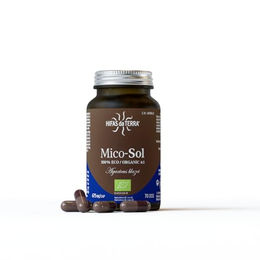 HIFAS DA TERRA Mico-Sol Reiner Agaricus Extrakt Kapseln aus Mandelpilz 4:1 Vegan 70 Kapseln – Bild 1 von 12