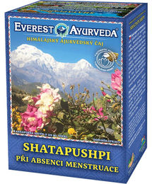 Himalaya Shatapushpi Kräuter-Komplex Tee 100g – Bild 1 von 1