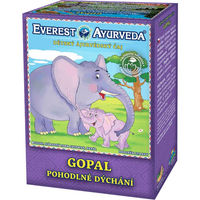 Produktbild von Himalaya Tee Gopal 100g