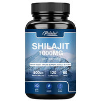 Produktbild von Himalayan Shilajit 1000 mg Kapseln 120 Stück