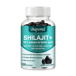 Himalayan Shilajit 1000 mg Kapseln 120 Stück Nahrungsergänzungsmittel für Männer – Bild 1 von 3