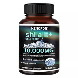 Himalayan Shilajit Gold Grade 10.000 mg Kapseln 120 Stück – Bild 1 von 4