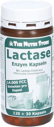 Hirundo Products Laktase 14000 FCC Enzym Kapseln 120 Stück – Bild 1 von 2