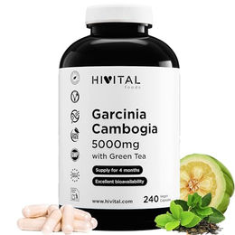 HIVITAL Garcinia Cambogia 5000 mg mit 60% HCA und Grüntee, 240 vegane Kapseln, glutenfrei, laktosefrei und zuckerfrei – Bild 1 von 3