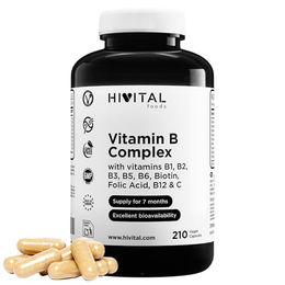 Hivital Vitamin-B-Komplex 210 vegane Kapseln glutenfrei laktosefrei zuckerfrei – Bild 1 von 2