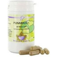 Produktbild von Holisan Punarnava Kapseln 60 Stück