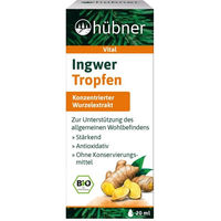Produktbild von Hübner Ingwer Tropfen