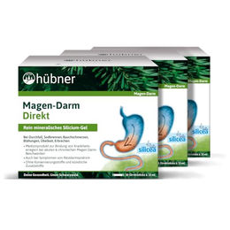 Hübner Silicea Magen-Darm Direct mit Silizium/Kieselerde, 3 Packungen à 30 Sticks – Bild 1 von 1