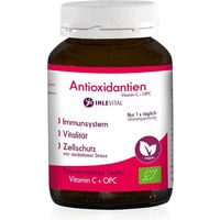 Produktbild von Ihlevital Antioxidantien Pulver Bio vegan und glutenfrei