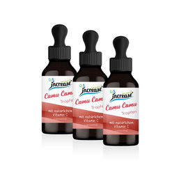 Increase Liposomale Camu Camu Tropfen mit Vitamin C vegan und laktosefrei – Bild 1 von 2