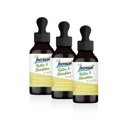 Increase Liposomale Rutin und Steinklee Tropfen hochdosiert vegan laktosefrei 180 ml – Bild 1 von 1
