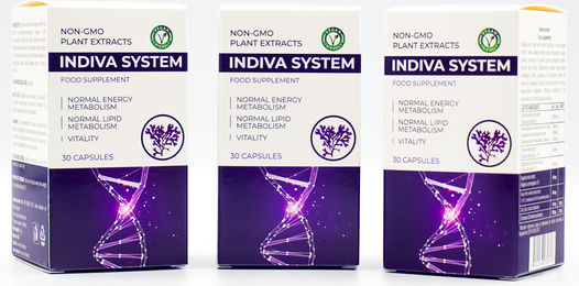 Indiva Spirulina Kapseln Set 90 Stück – Bild 1 von 1