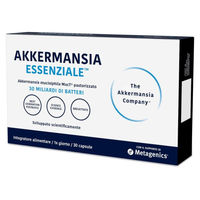 Produktbild von INGREO Essential Akkermansia Kapseln für Erwachsene glutenfrei und laktosefrei 30 Stück