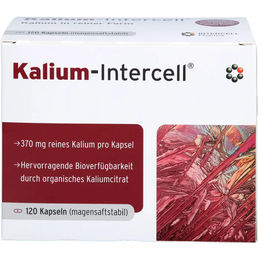 Intercell-Pharma Kalium magensaftresistente Hartkapseln 120 Stück – Bild 1 von 1
