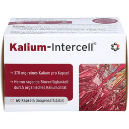 Intercell-Pharma Kalium magensaftresistente Hartkapseln 60 Stück – Bild 1 von 1