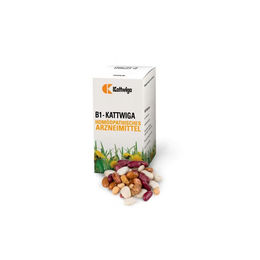 Kattwiga B1 Tabletten für Erwachsene, Schwangere und Stillende, 100 Stück – Bild 1 von 1
