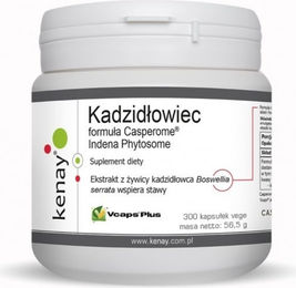 KENAY Casperome Indena Phytosom Boswellia Weihrauch Kapseln vegetarisch 300 Stück – Bild 1 von 1