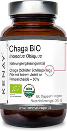 KENAY Chaga Bio Inonotus obliquus Kapseln vegetarisch 60 Stück – Bild 1 von 2