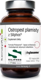 KENAY Mariendistel mit Siliphos 60 Kapseln – Bild 1 von 1