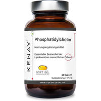 Produktbild von KENAY Phosphatidylcholin Kapseln mit Cholin 60 Stück