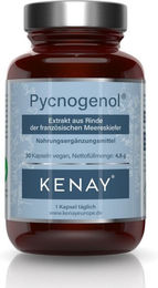 KENAY Pycnogenol Extrakt aus französischer Meereskiefer Rinde 100 mg Kapseln vegan 30 Stück – Bild 1 von 5