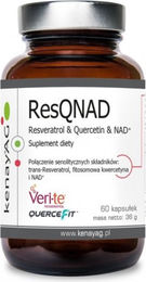 KENAY Resveratrol Quercetin Nadi 60 Kapseln – Bild 1 von 1