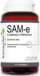 KENAY SAM-e Adenosyl-L-Methionin Kapseln 120 Stück – Bild 1 von 1