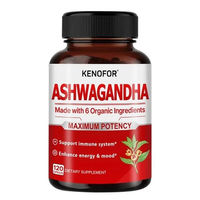 Produktbild von Kenofor Ashwagandha 650 mg Kapseln 120 Stück