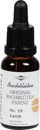 Klosterfrau Bachblüten Murnauer Larch Tropfen 20 ml – Bild 1 von 2