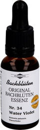 Klosterfrau Bachblüten Murnauer Water Violet Tropfen – Bild 1 von 2