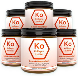 Kollagen Institut Kollagen Typ II Pulver ohne Zusatzstoffe 900 g – Bild 1 von 2