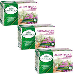 L' Angelica Tisana Giusta Regola Active Tee mit Flohsamenschalen glutenfrei und laktosefrei 3x 18 Filter – Bild 1 von 1