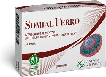 L'Energia delle Piante Somial Eisen Kapseln liposomal – Bild 1 von 1