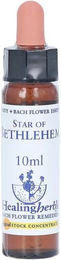 Leitner Lifecare Bachblüten Star of Bethlehem Tropfen – Bild 1 von 1