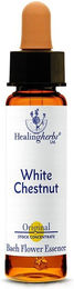 Leitner Lifecare White Chestnut Tropfen – Bild 1 von 1