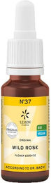 Lemon Pharma Bio Bachblüten Tropfen N°37 Wild Rose Heckenrose vegan 20 ml – Bild 1 von 4