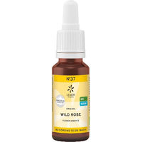 Produktbild von Lemon Pharma Bio Bachblüten Tropfen N°37 Wild Rose Heckenrose vegan 20 ml