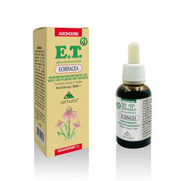 Lemuria Echinacea Extrakt Tropfen alkoholfrei 30 ml – Bild 1 von 2