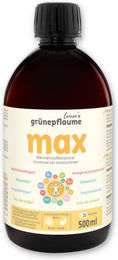 Louie's Grünepflaume Bio Saft Vegan Flüssig – Bild 1 von 3