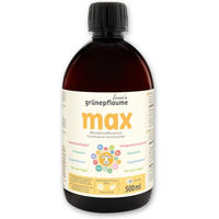 Produktbild von Louie's Grünepflaume Bio Saft Vegan Flüssig