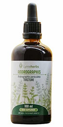 Lymeherbs Andrographis Tinktur 1:2 Tropfen 100 ml – Bild 1 von 1