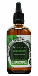 Lymeherbs Ashwagandha Schlafbeere Alkoholfreier Extrakt 1:1 Flüssig 100 ml – Bild 1 von 2