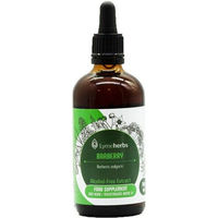 Produktbild von Lymeherbs Berberitze alkoholfreier Extrakt 1:1 flüssig