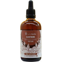 Produktbild von Lymeherbs Borstige Taigawurzel Eleuthero Tinktur 2:1 100 ml
