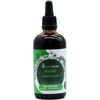 Produktbild von Lymeherbs Ceanothus americanus Alkoholfreier Extrakt 1:1 Flüssig