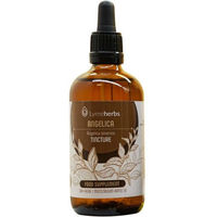 Produktbild von Lymeherbs Chinesische Engelwurz Angelica sinensis Tinktur 1:5