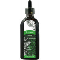Produktbild von Lymeherbs Chinesische Engelwurz Angelika sinensis Alkoholfreier Extrakt Flüssig