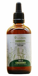 Lymeherbs Cordyceps Tinktur 1:2 Bio Tropfen 100 ml – Bild 1 von 1