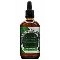 Produktbild von Lymeherbs Cryptolepis Extrakt 1:1 alkoholfrei 100 ml